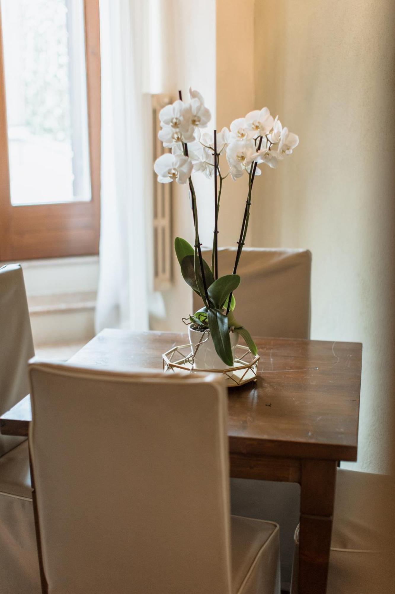 Osteria Luxury Apartments Peschiera del Garda Eksteriør billede